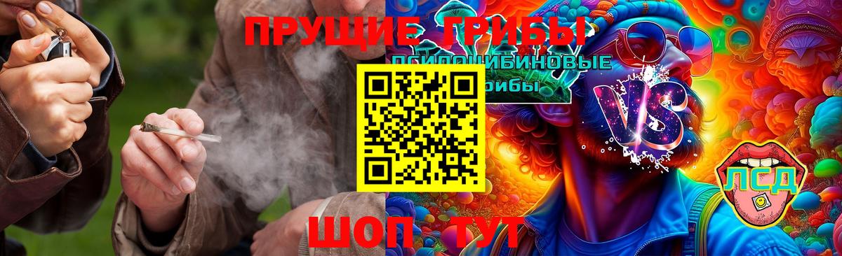 Галлюциногенные грибы Magic Shrooms Североморск